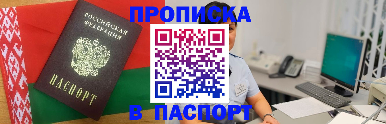 где прописаться в Дмитрове